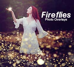 12张高清炫彩光斑图片素材：Fireflies Photo Overlays